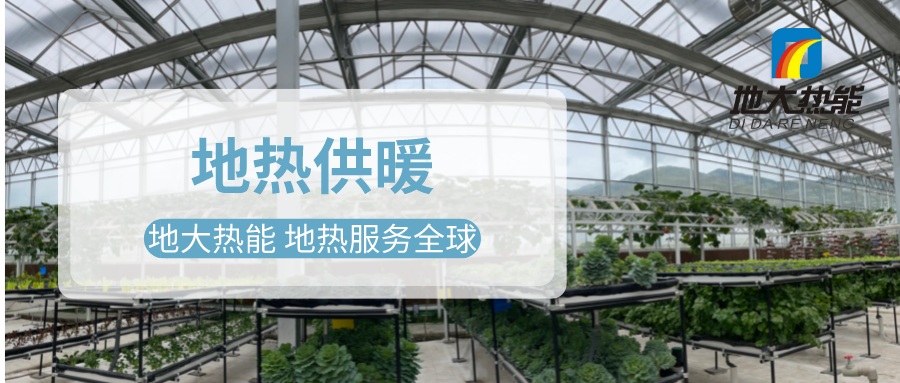 發(fā)揮地?zé)豳Y源優(yōu)勢，地?zé)徂r(nóng)業(yè)實現(xiàn)花卉產(chǎn)業(yè)特色發(fā)展 | 地大熱能 地?zé)岱?wù)全球