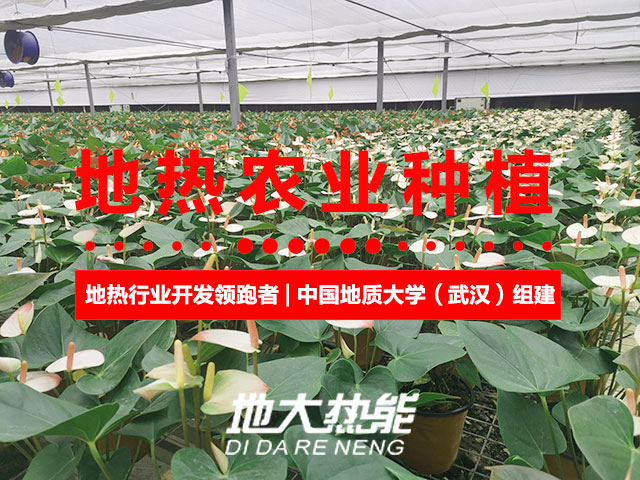 濟南：“地熱能+農業(yè)”產業(yè)融合，讓地熱能真正“熱”起來-地大熱能