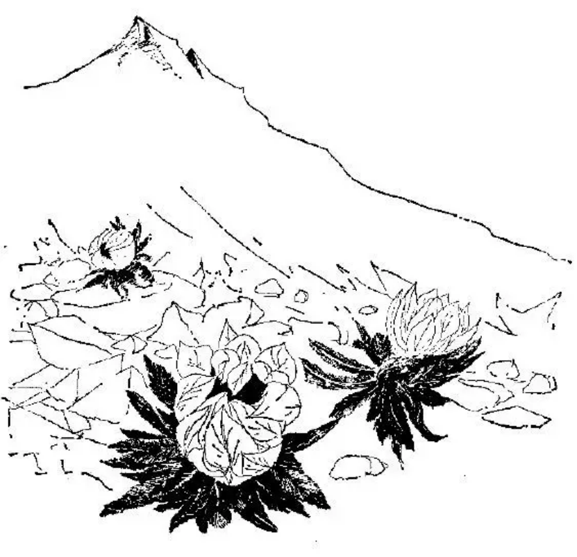 盤點各類地質(zhì)地貌類型-地?zé)豳Y源開發(fā)-地大熱能